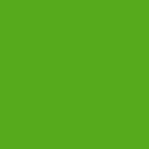 Lime-tree Green- 651